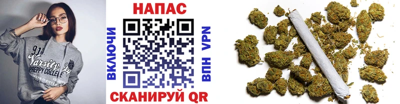 Бошки Шишки марихуана где купить Сурск